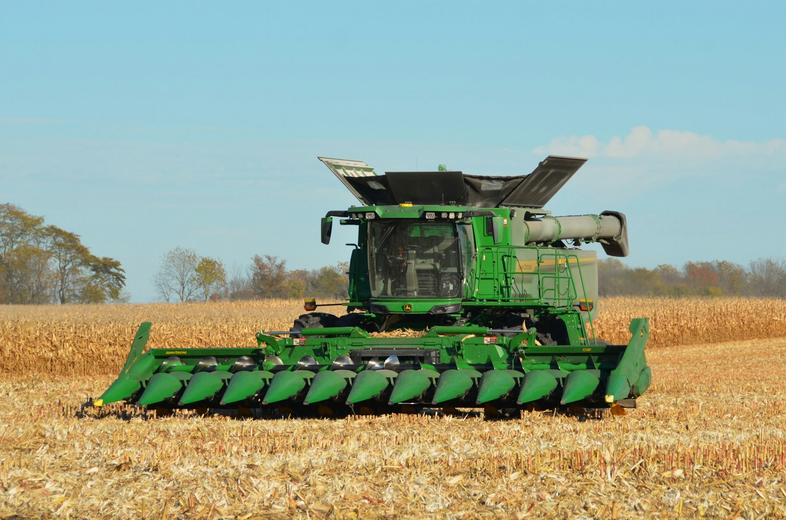 Combine harvester working in a ripe corn field