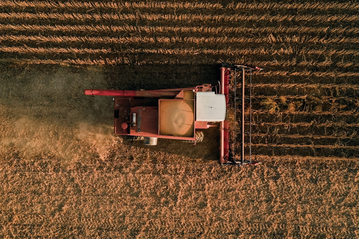 Aerial view of a combine harvesting a field