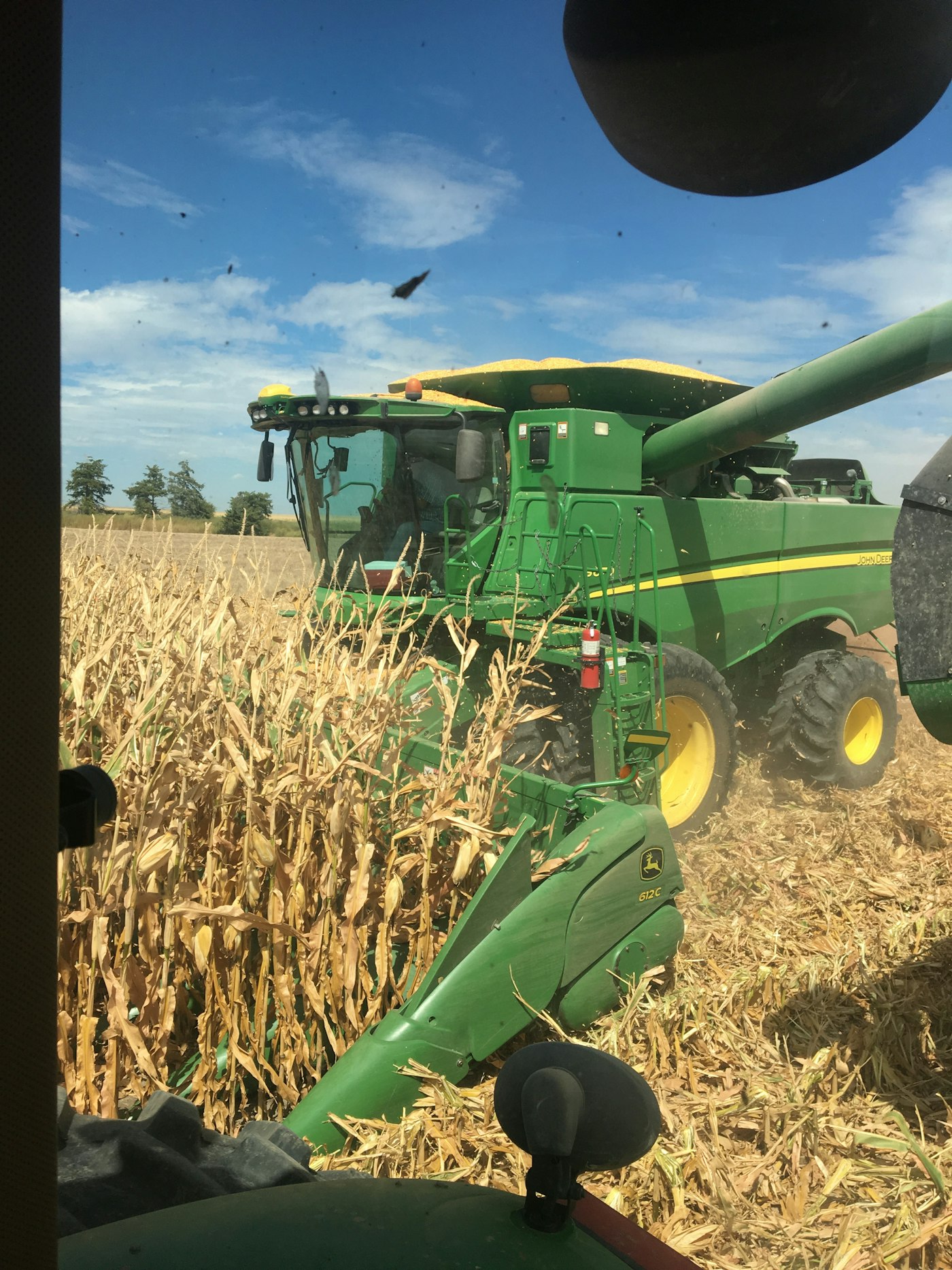 Green combine harvesting a corn field