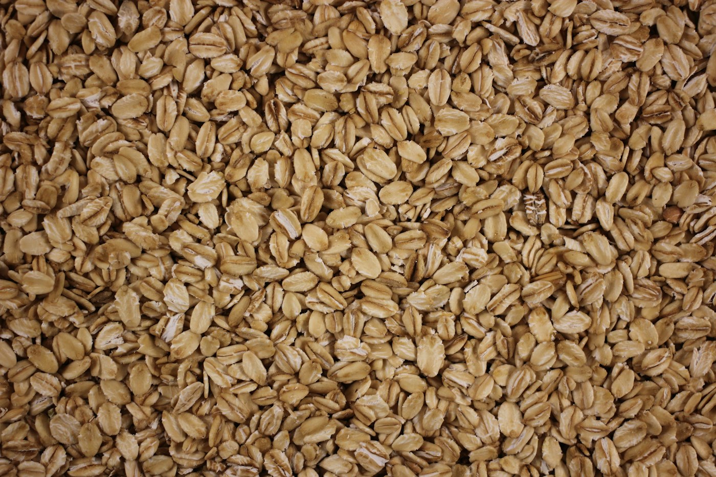 Close-up of oat grains