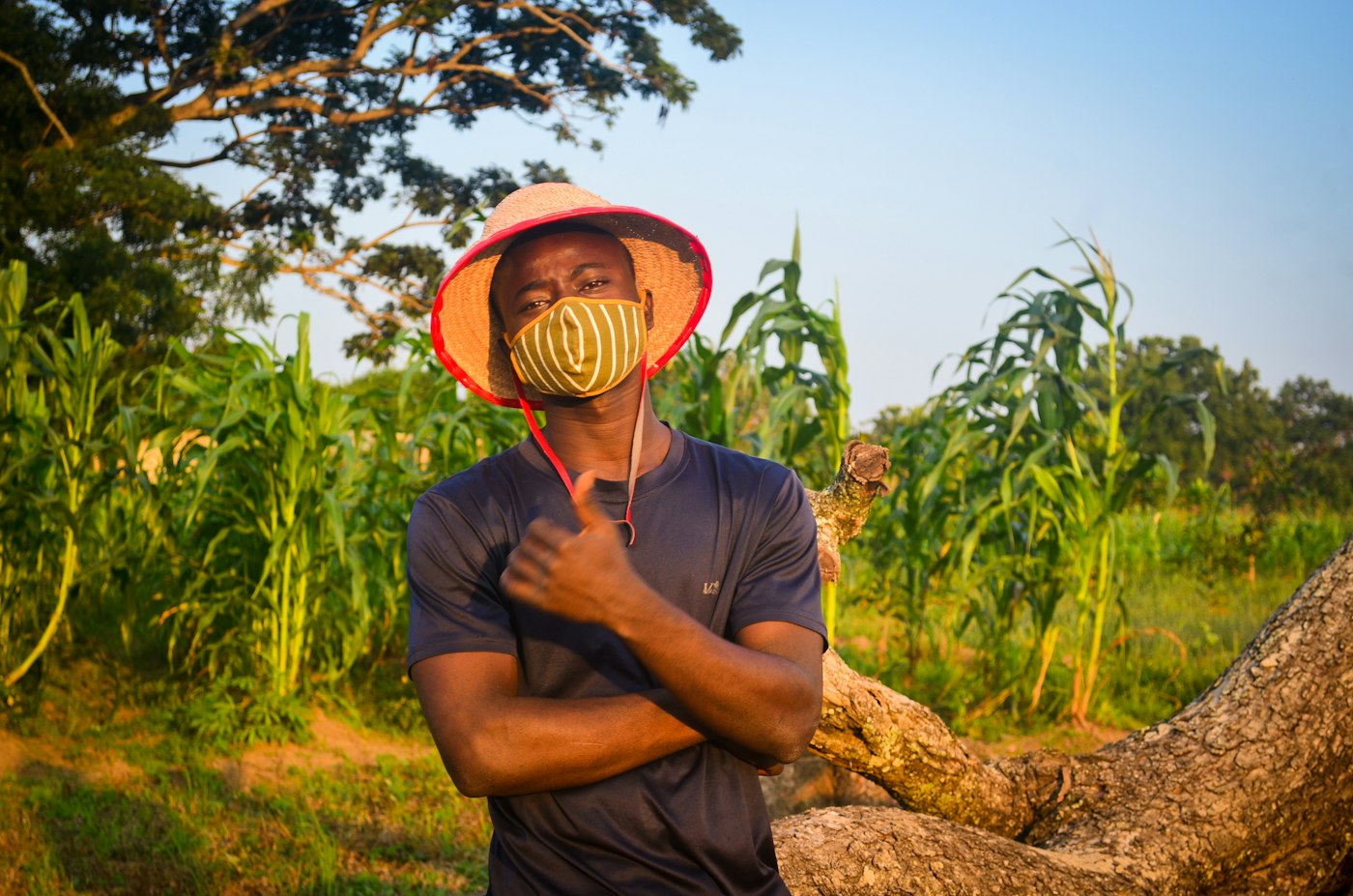 Farmer standing in a maize field