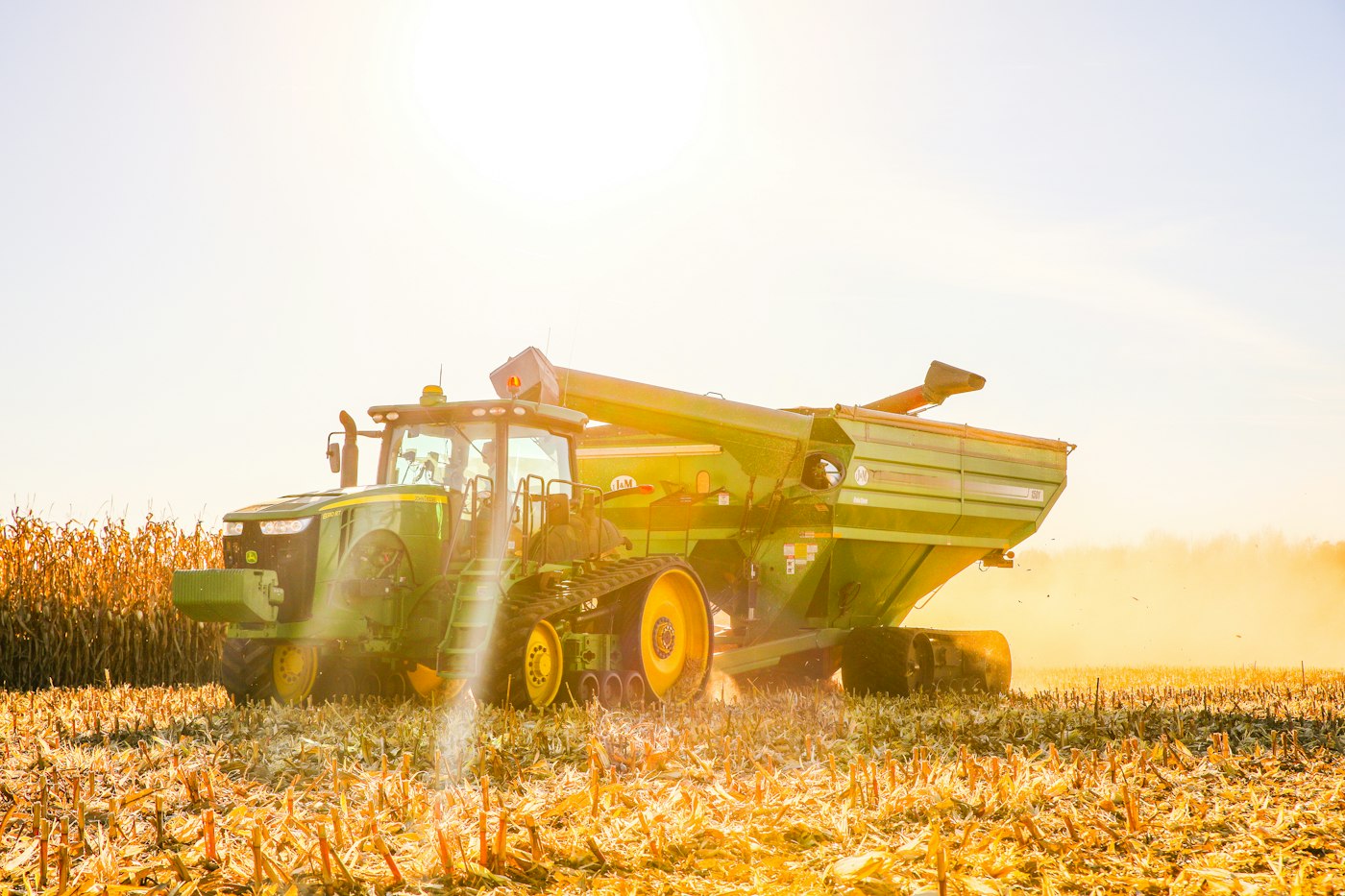 Tractor and grain cart crossing a corn field in warm sunlight